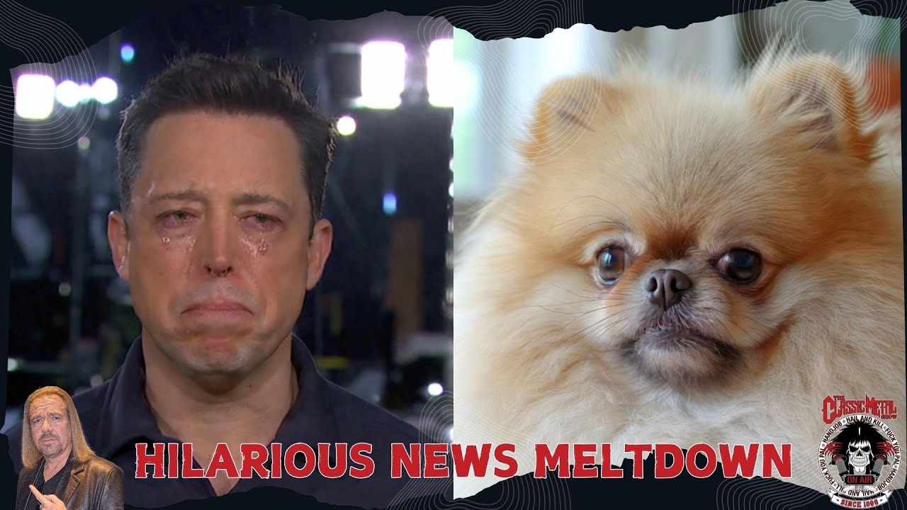 Crying Over a Dog? The Most Hilarious News Meltdown Ever Captured!