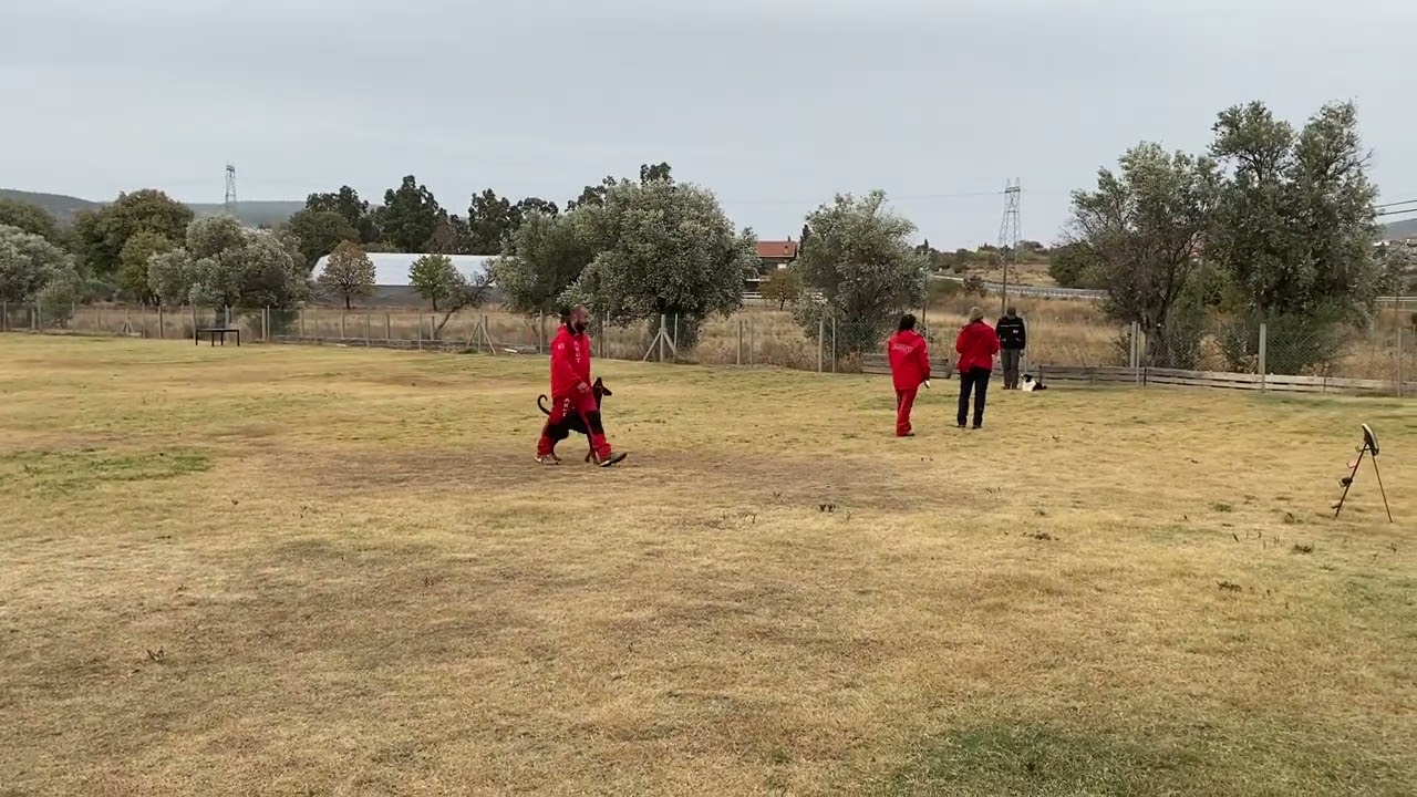 IRO 2022 İzmir 19-20 Kasım Sınavları / Gina A testi itaat bölümü