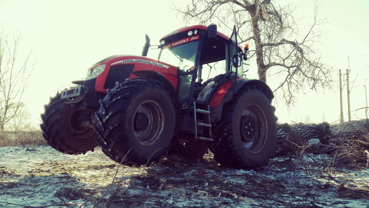 Kácení topolů 2017