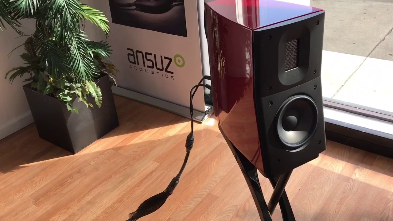 Raidho D 1.1 Aavik C 300 & P 300. Ansuz DTC cables