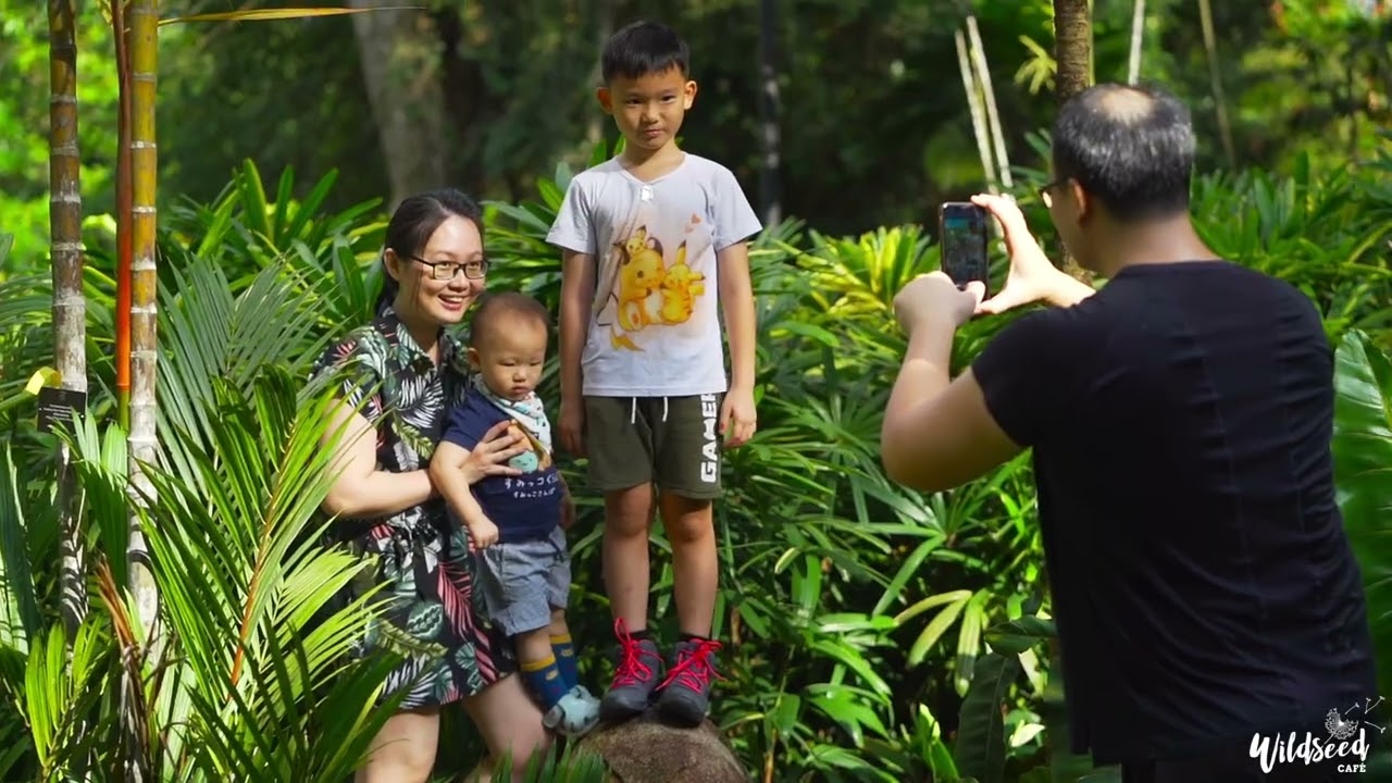 Wildseed Caf&eacute; at The Garage &ndash; A Nature-Inspired Caf&eacute; in the Heart of Singapore Botanic Gardens