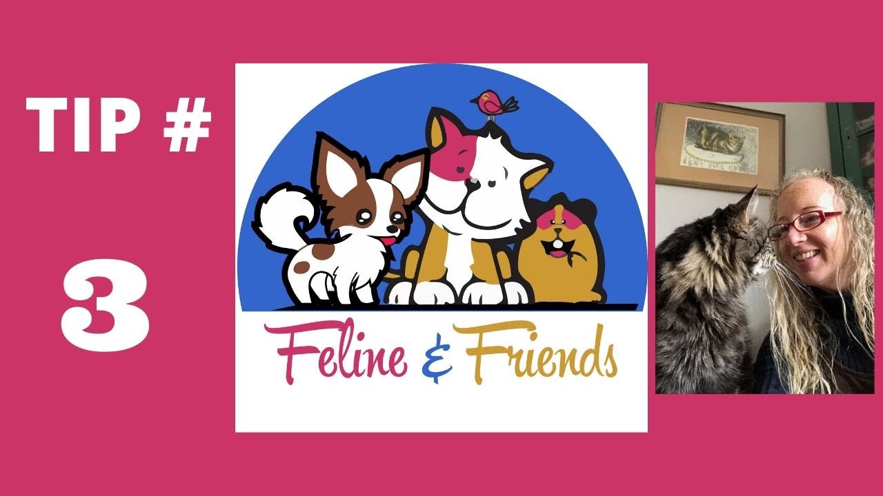Feline & Friends - dogs that don't like going through a door/car