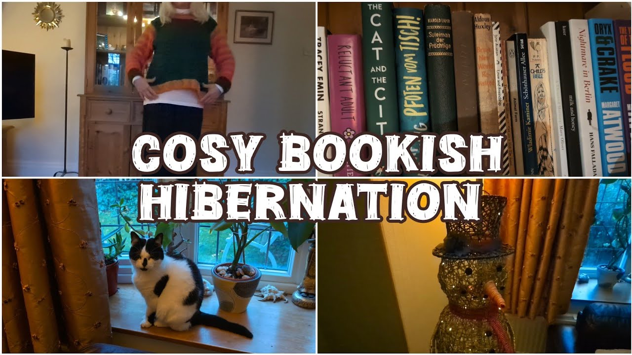 💫Magical BOOKSHELF tour, cozy cat, slow introvert living 📚😺✨