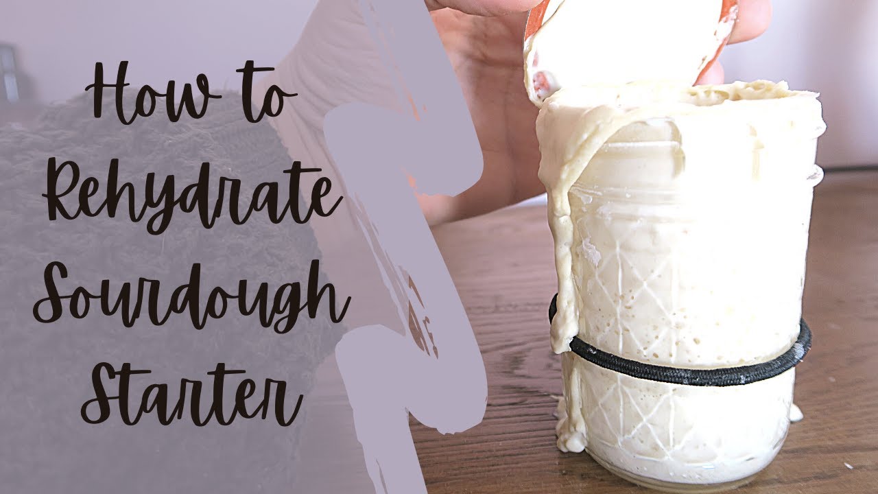 Sourdough 101: How to Rehydrate Your Sourdough Starter