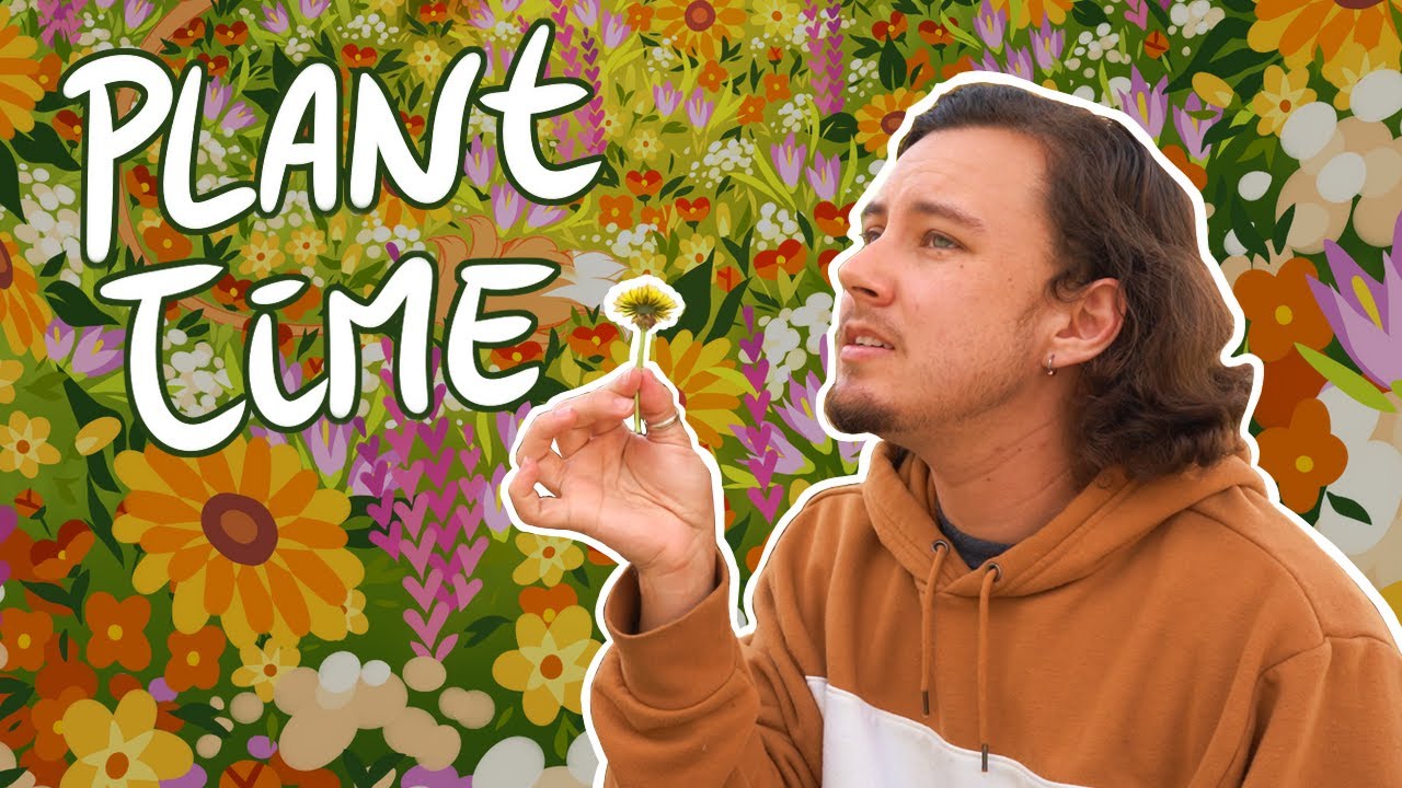 Drawing Stylized Plants and Flowers