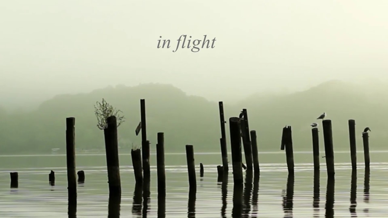 In Flight
