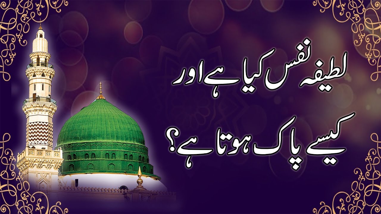 Latifa Nafs kia hy or kaise pak hota hy | Gumbad e Khizra Conference 1995 HYD Part 2 || Gohar Shahi