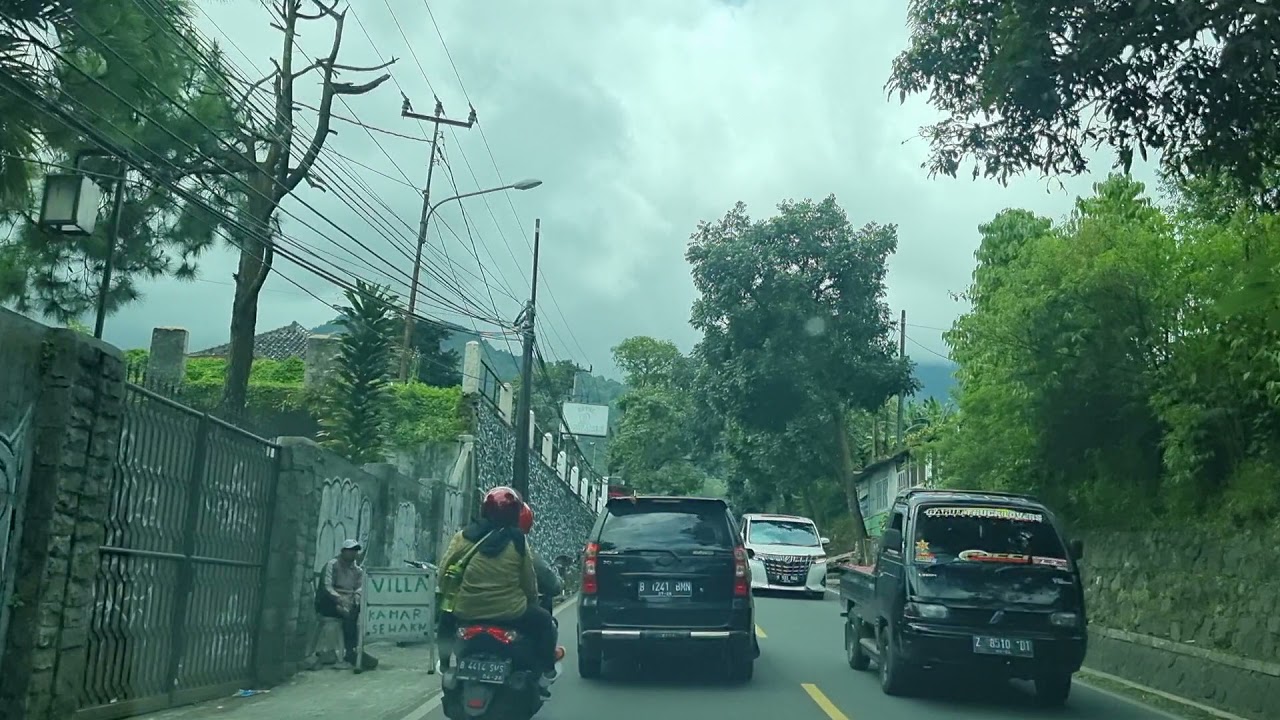 فيروزيات الصباح غالب الأسترالي 1 بونشاك puncak