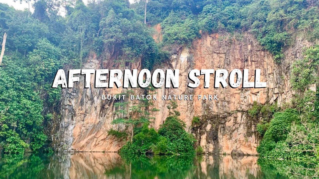 Afternoon Stroll at Bukit Batok Nature Park: The New Normal Lifestyle | ASMR | #WalterNei