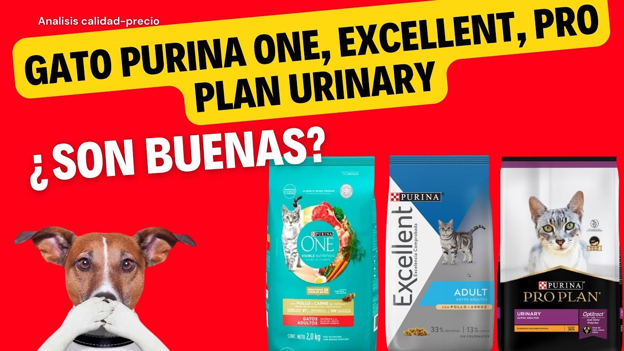 Análisis de alimento para Gato: Gato Purina one, Excellent, Pro Plan Urinary