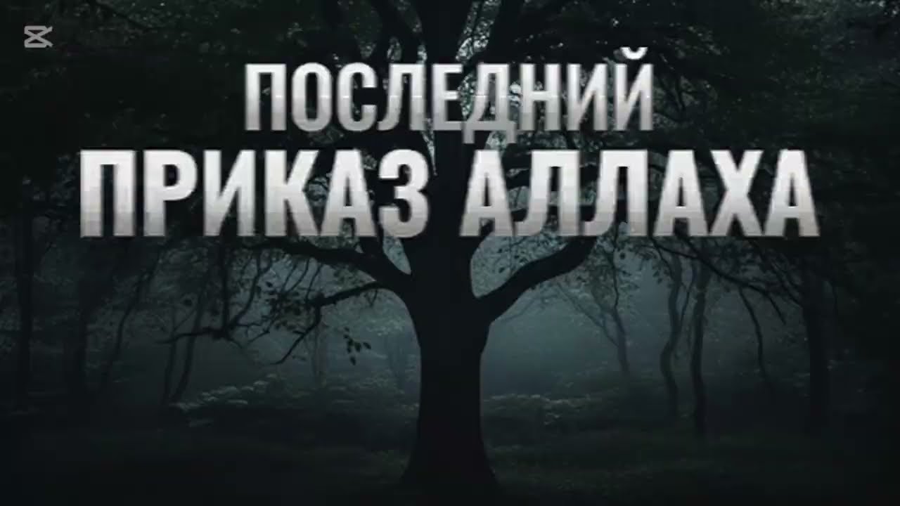 Последний приказ Аллаха #аллах#хадис#ислам