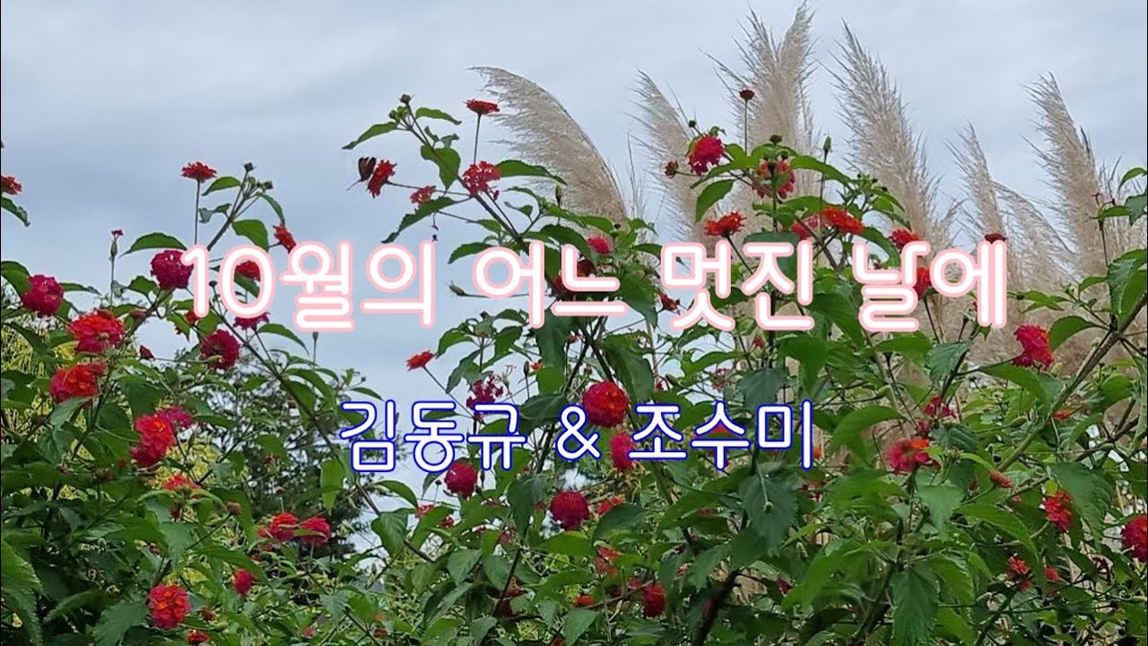 김동규 & 조수미  - 10월의 어느 멋진날에 + (Secret Garden  -  Serenade To Spring)