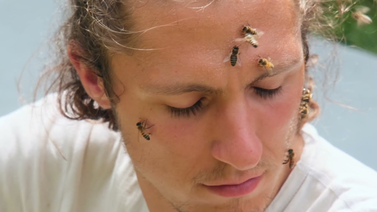 Yoga des Abeilles