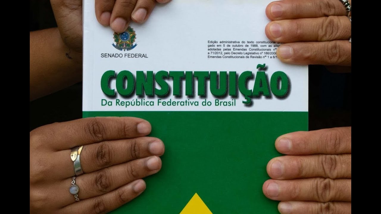 39 Comunicação social, meio ambiente, família, idoso, índios - Do art. 220 ao 232.