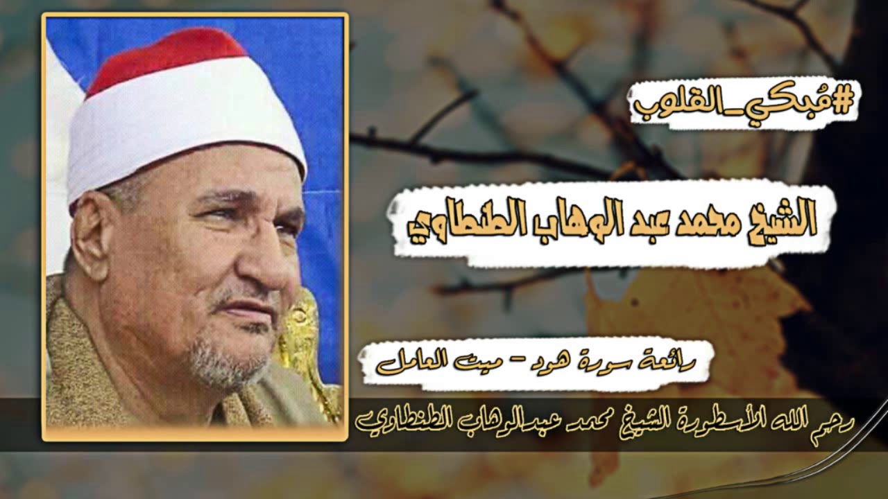 الطنطاوي سورة هود الشهيره من ميت العامل 2008 ربع تاريخي ل ملك الحنان الاول