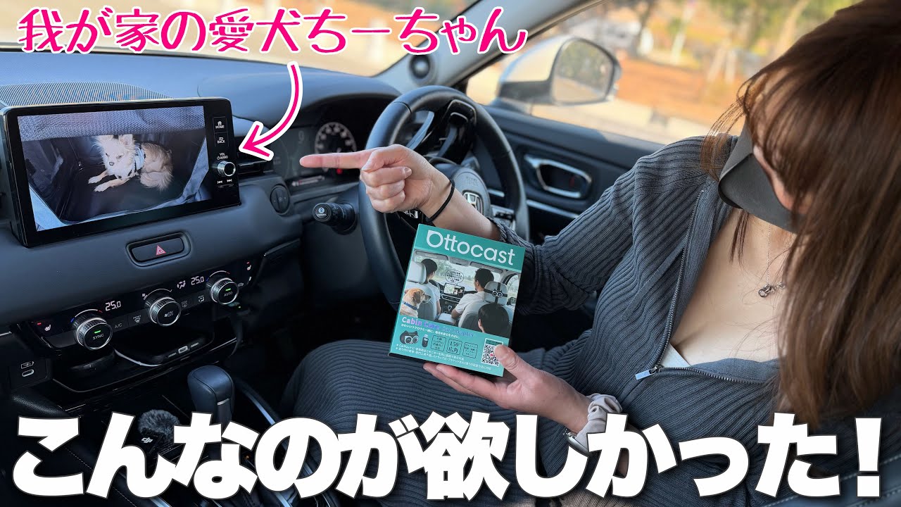 【こんなのが欲しかった】ドライブ中も大切な家族やペットを見守りできる！使い方次第で可能性無限大！【Ottocast Cabin Care】