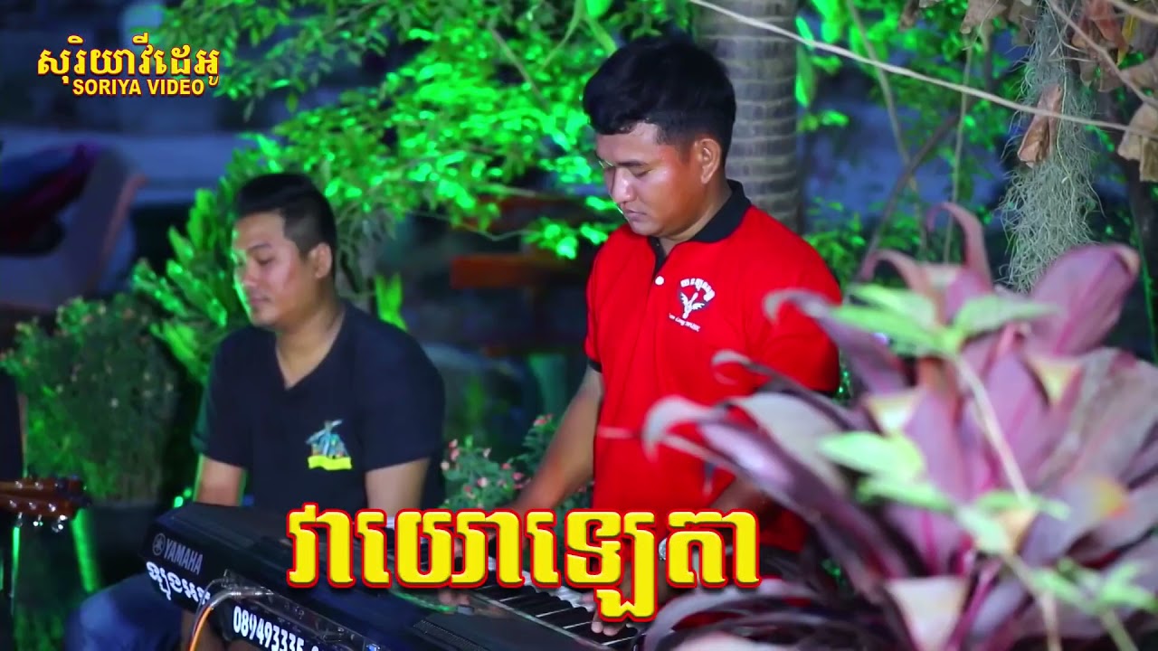 វីយូឡេតា អកការដង់ Cover By ដារ៉ា