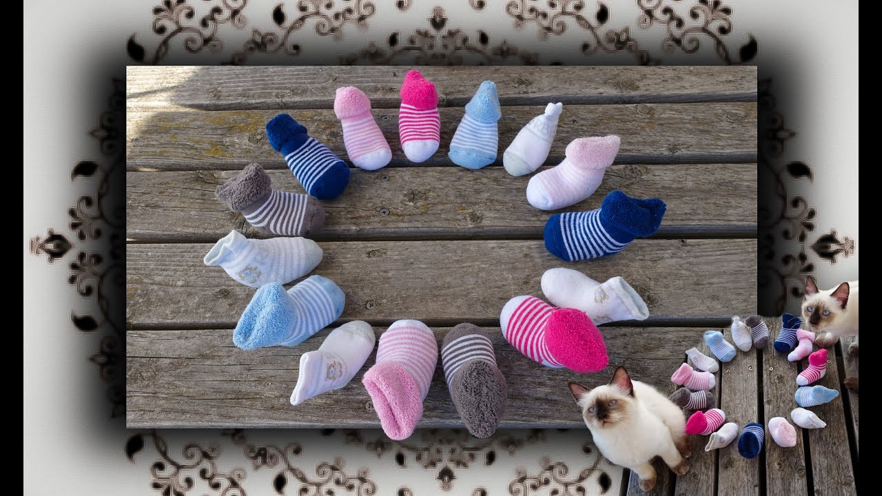 DIY 😻 Catnip Socken f&uuml;r Katzen | Catnip Socks for Cats