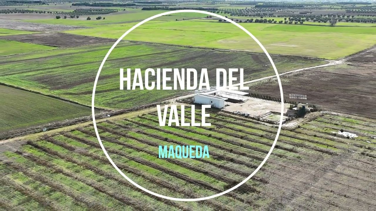 10 enero 2026