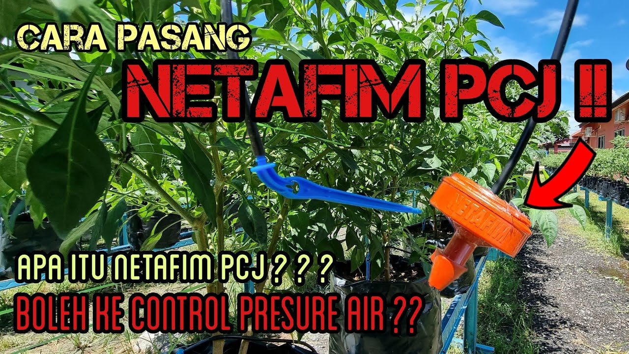 Cara Pasang NETAFIM PCJ Boleh Ke Kasi Preasure Air Sama Rata ?