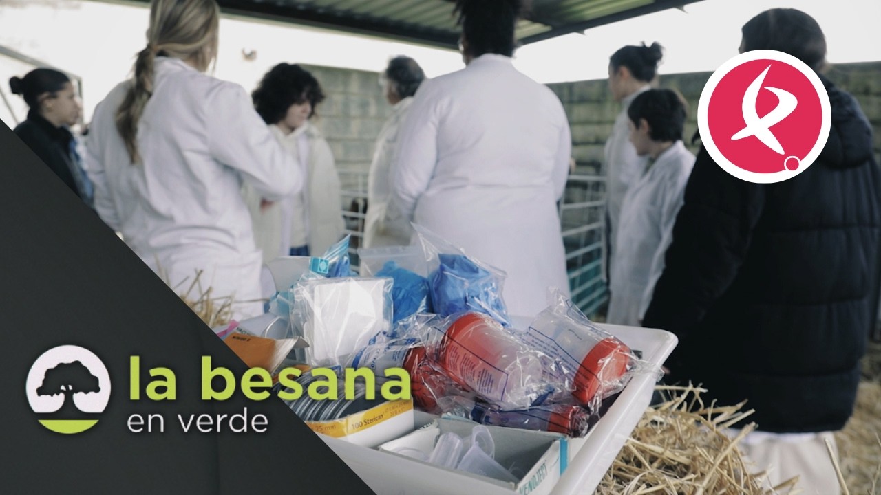 Una granja autóctona | La Besana en Verde