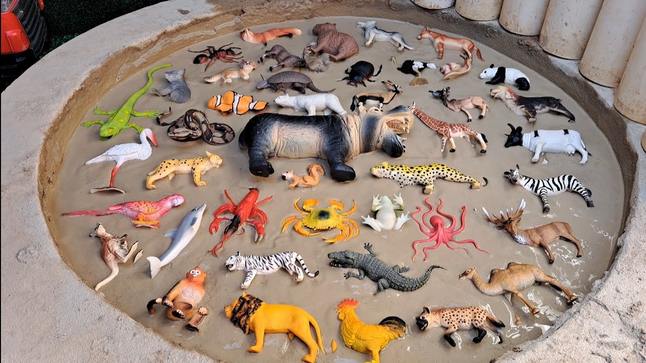 Animais Presos na Lama | Uma Grande Aventura – História Infantil Educativa 