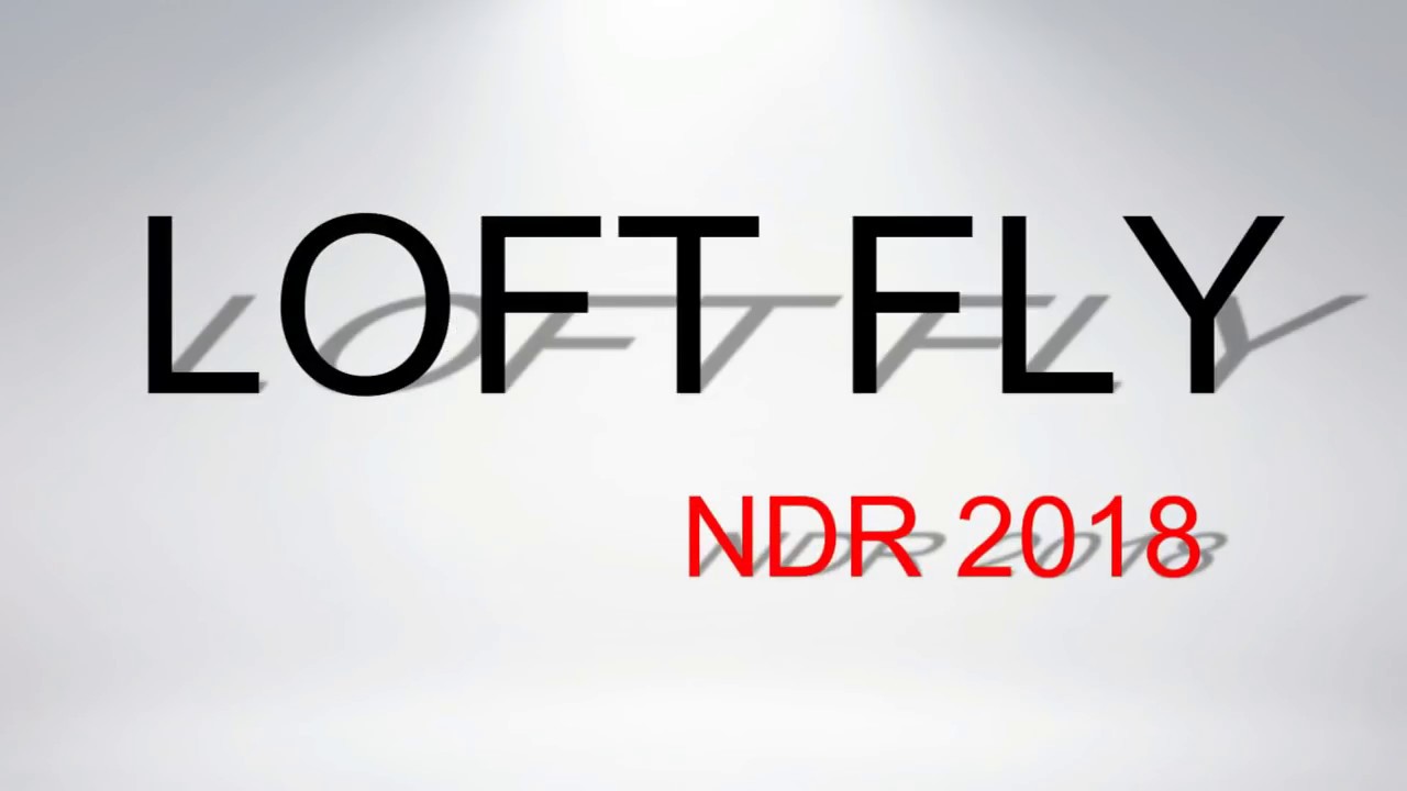 NORTH DERBY RACE 2018 YOUNG BIRD LOFT FLY RACING PIGEON