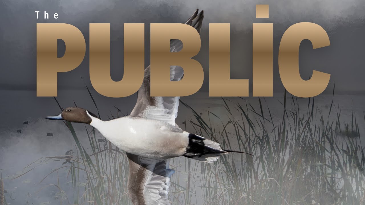 Understanding the public and public land hunting 
