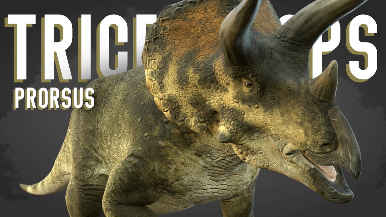 Triceratops 3D Model