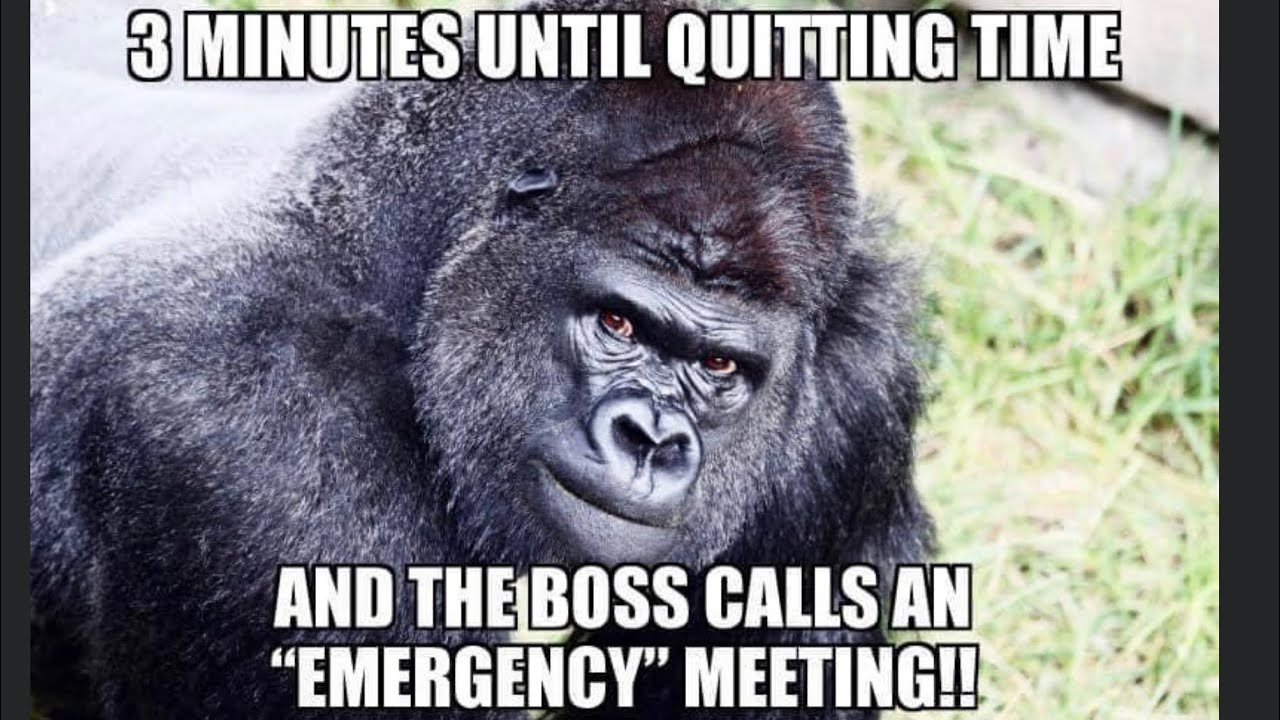MEMES TO WATCH DURING QUARANTINE #99/Meme compilation 2020/ Memes to make me laugh
