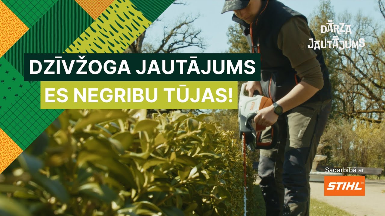 Lapu koku un krūmu dzīvžoga ierīkošana un kopšana – Dārza jautājums