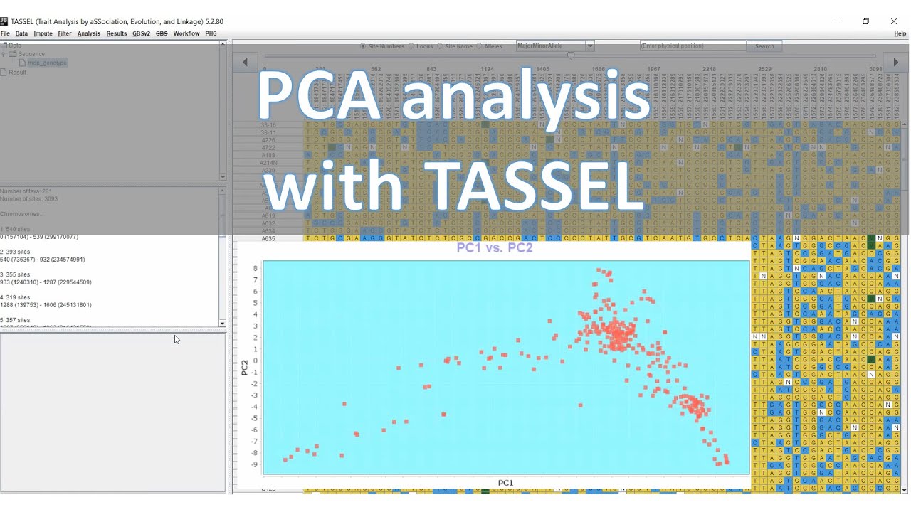 PCA-анализ с TASSEL