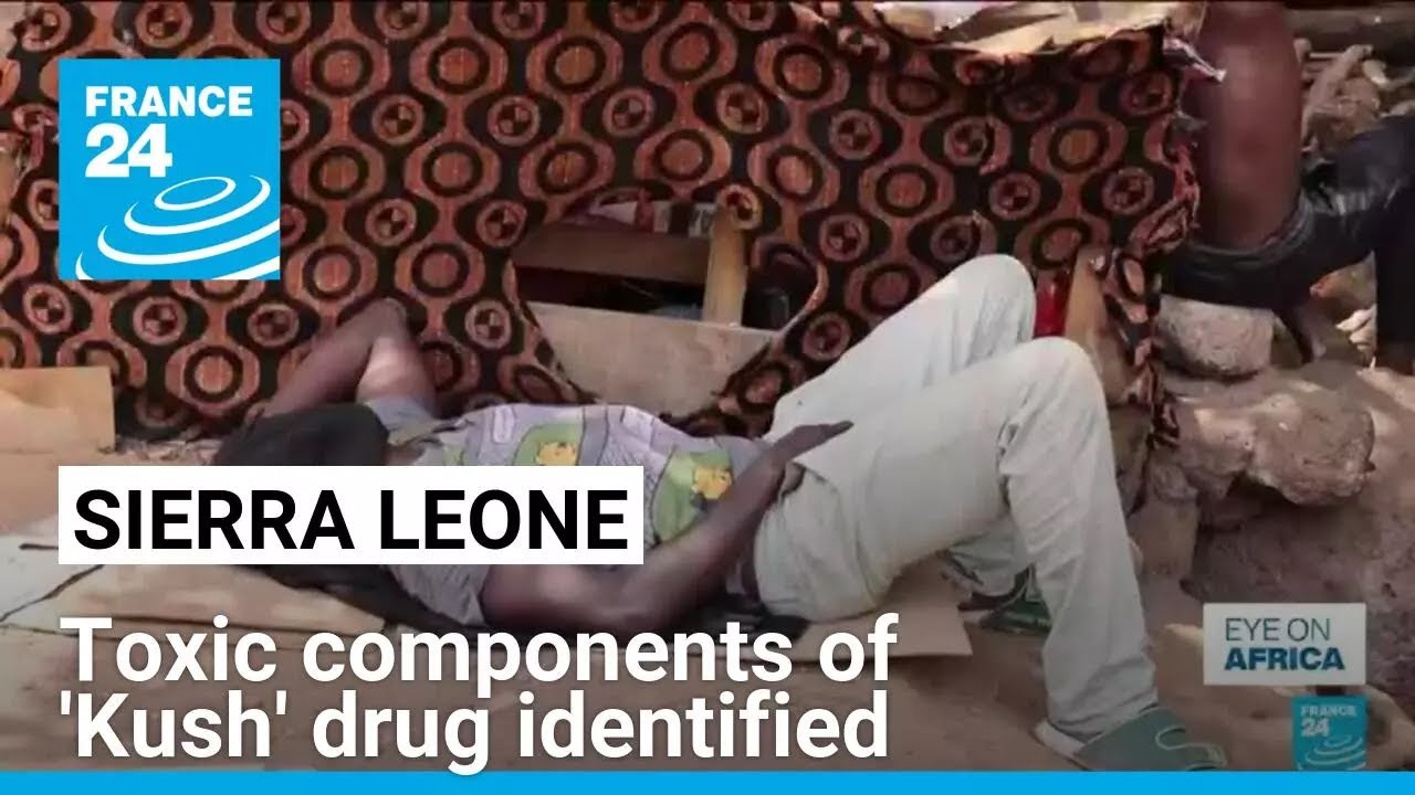 Sierra Leone: Toxic components of deadly 'Kush' drug finally identified • FRANCE 24 English