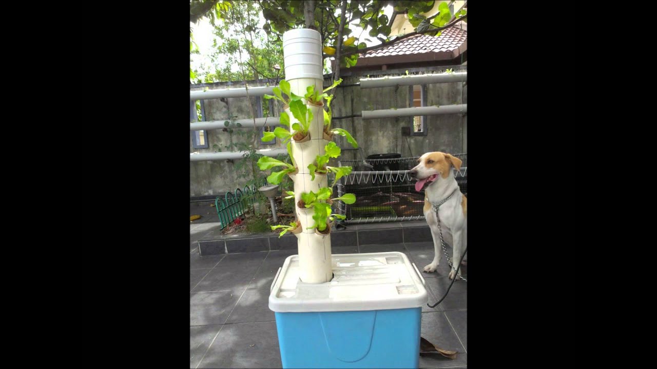 PowerGrow Hydroponic Nutrient