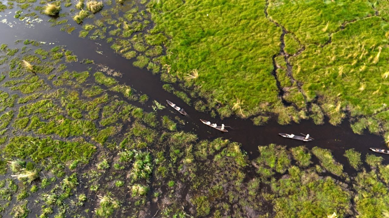 Botswana & Victoria Falls (Zimbabwe) in 4K