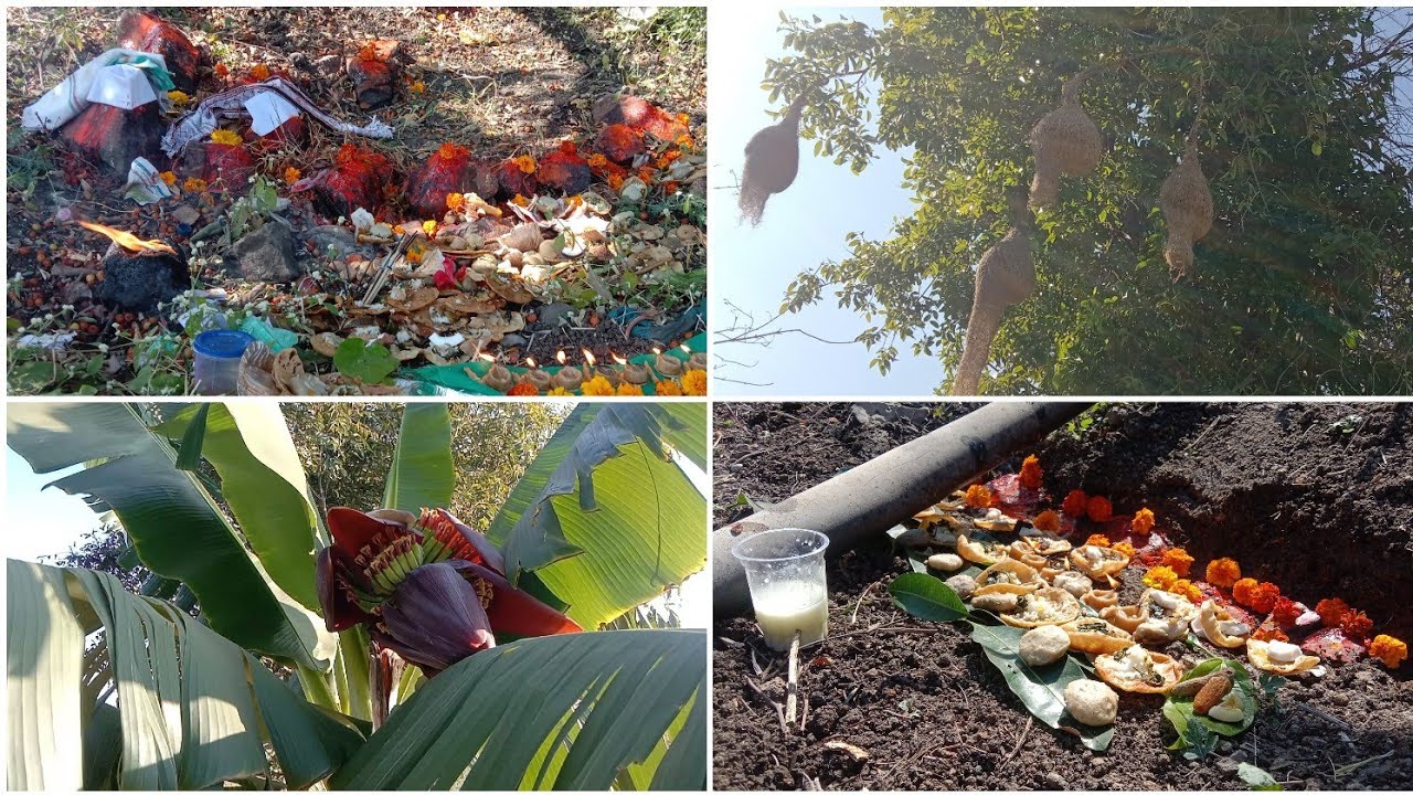 वेळ आमावस्याचा दिवस | #पुजा #minivlog 