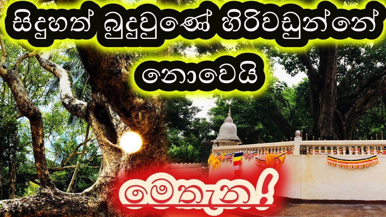 සිදුහත් බුදුවුණේ හිරිවඩුන්නේ නොවෙයි මෙතැන ! 60 - 029 | #HELA, #HIRIVADUNNA, #GOTHAMA, #YATHARTHAYA