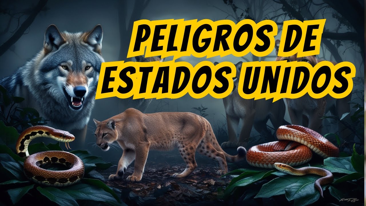 15 animales PELIGROSOS en ESTADOS UNIDOS