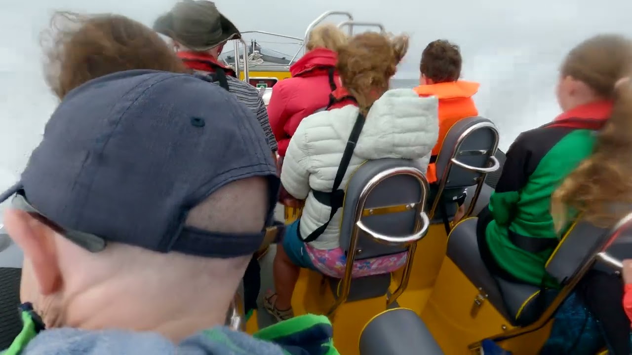 Fenit Sea Safari   10th September 2023
