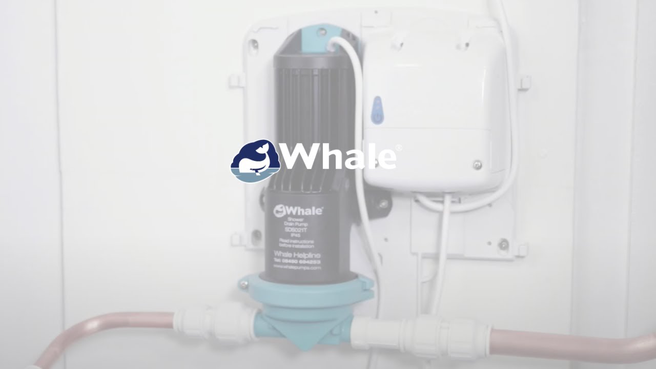 Blockages  - External Pipework Test & Rodding by Whale