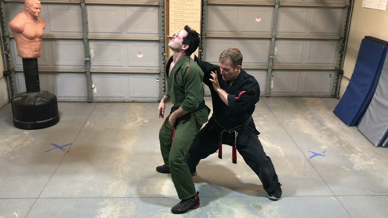 KENPO Circling the Storm - Jamie Seabrook