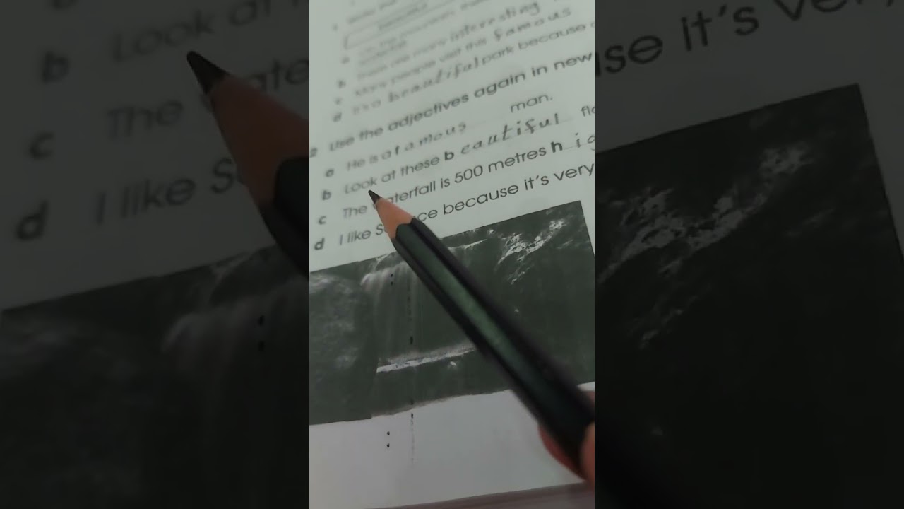 كتاب النشاط انكليزي للصف الرابع الإبتدائي / Unit 5 Lesson 1
