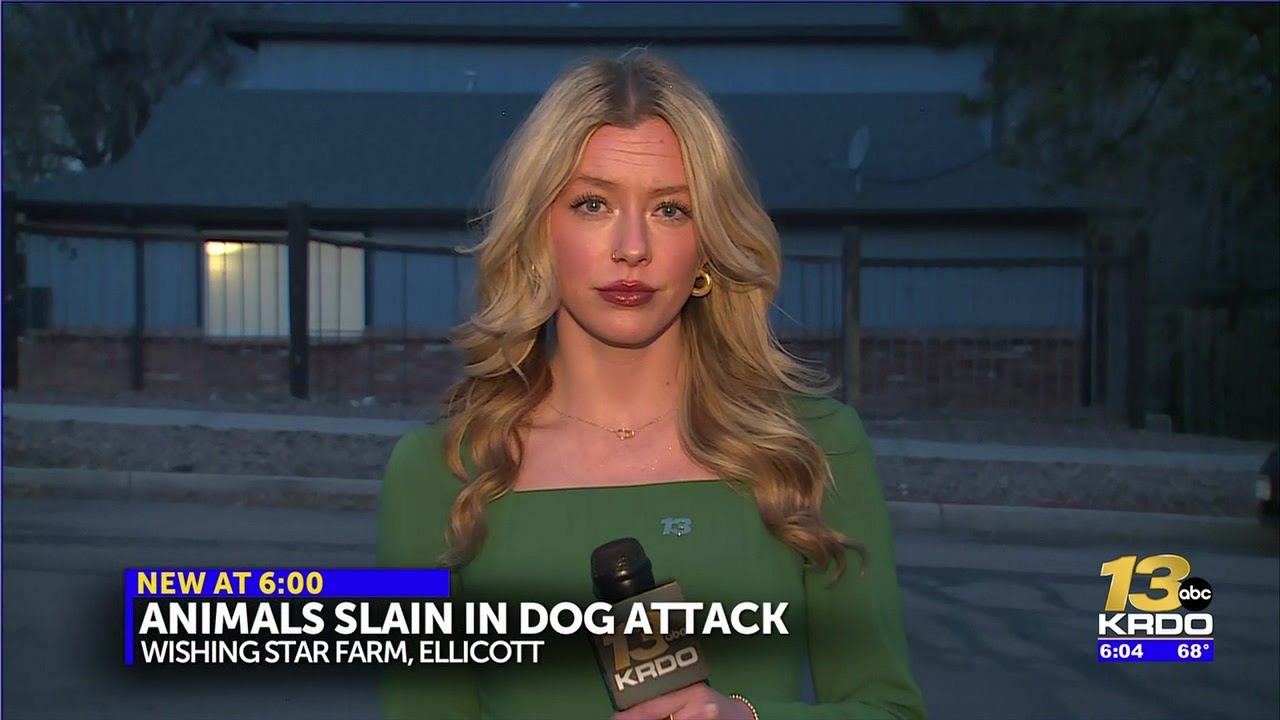 Ellicott petting zoo attacked by dogs, killing seven animals