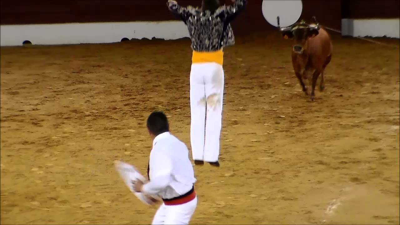 Mont-de-Marsan 15/07/14 Concours