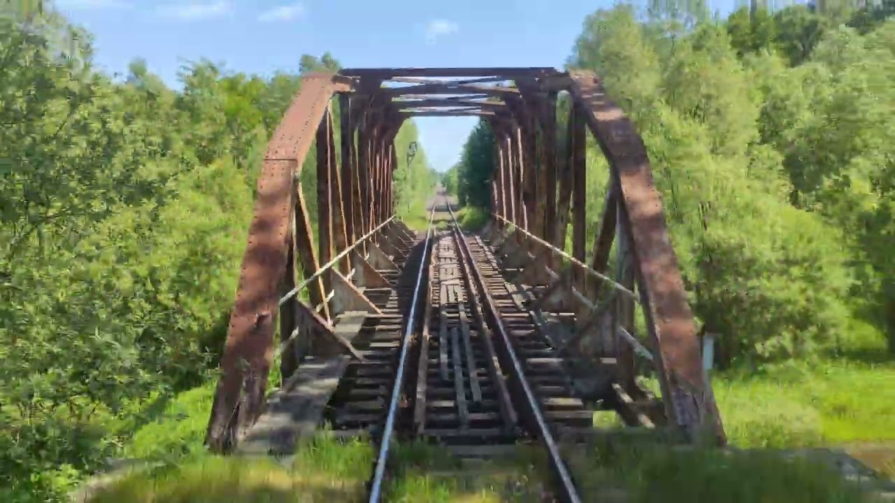 [rearview] Jerzmanki - Turoszów/Zawidów (D29:274, 799, 290, 785, 786, 344), 3.06.2023