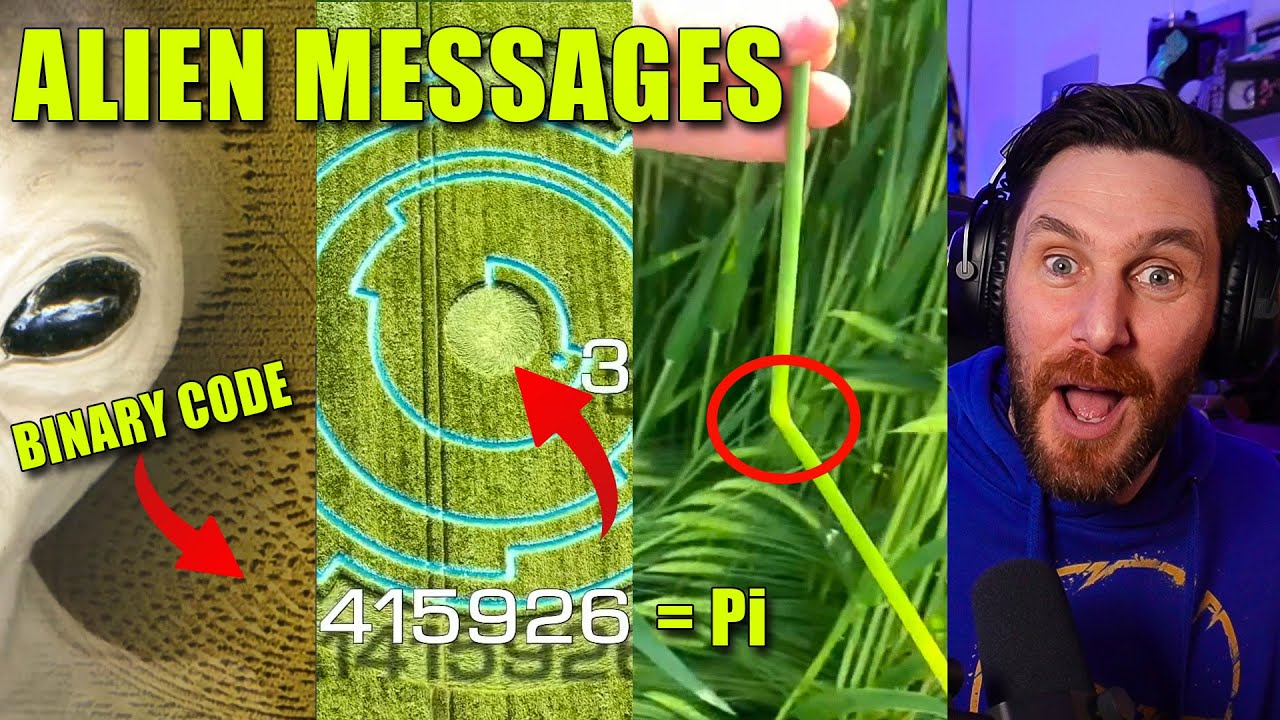 OMG Alien Crop Circles And What I Learnt Is Amazing
