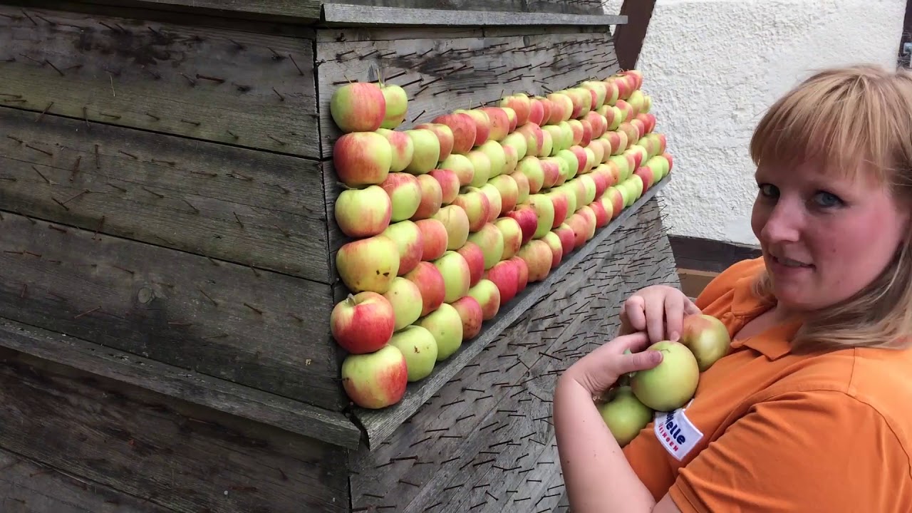 Mission Bauernhof - Herausforderung 10 - Apfelpyramide bestücken