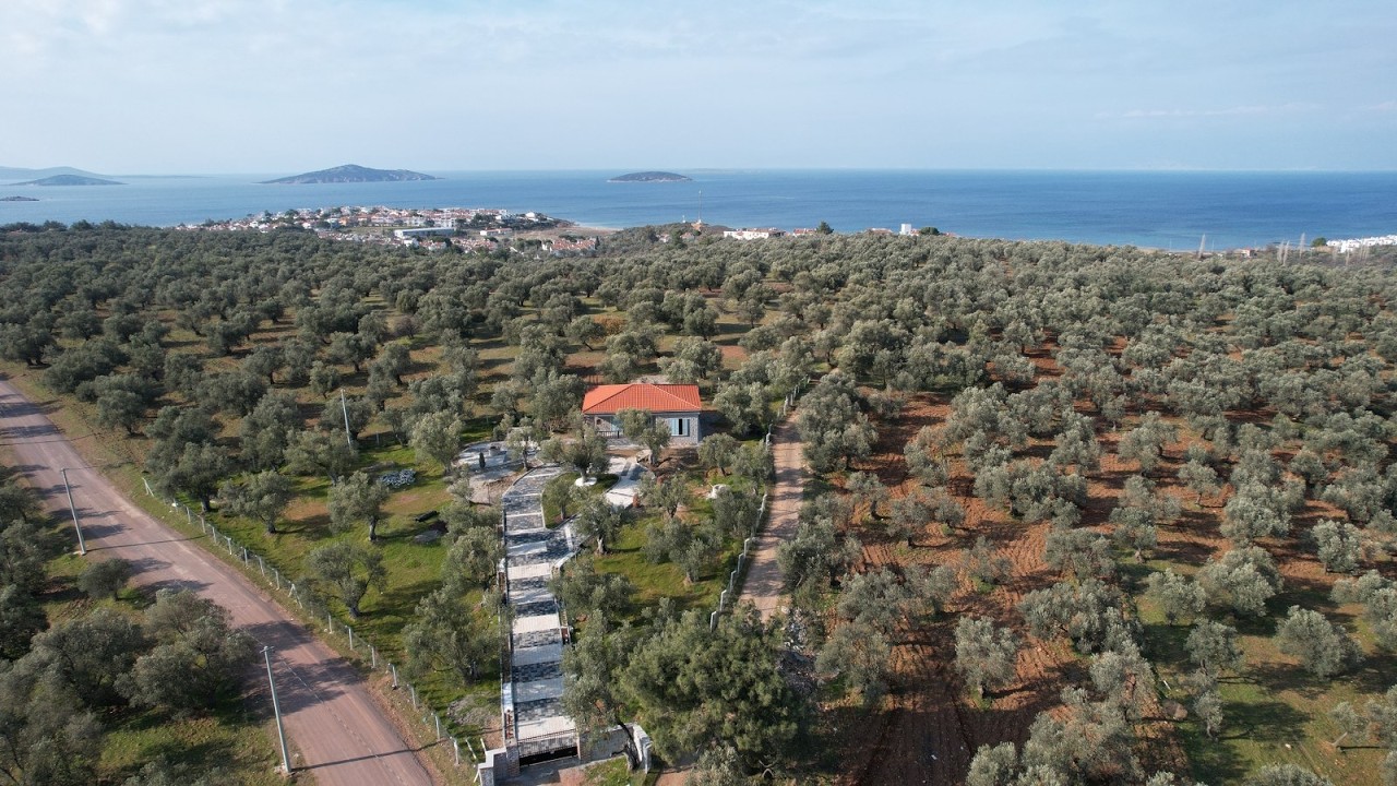 TÜRKİYE BALIKESİR AYVALIK CİFTLİKEVİ.KOD:2722.HUSEYİN CALISKAN:+90,533,522,0028.