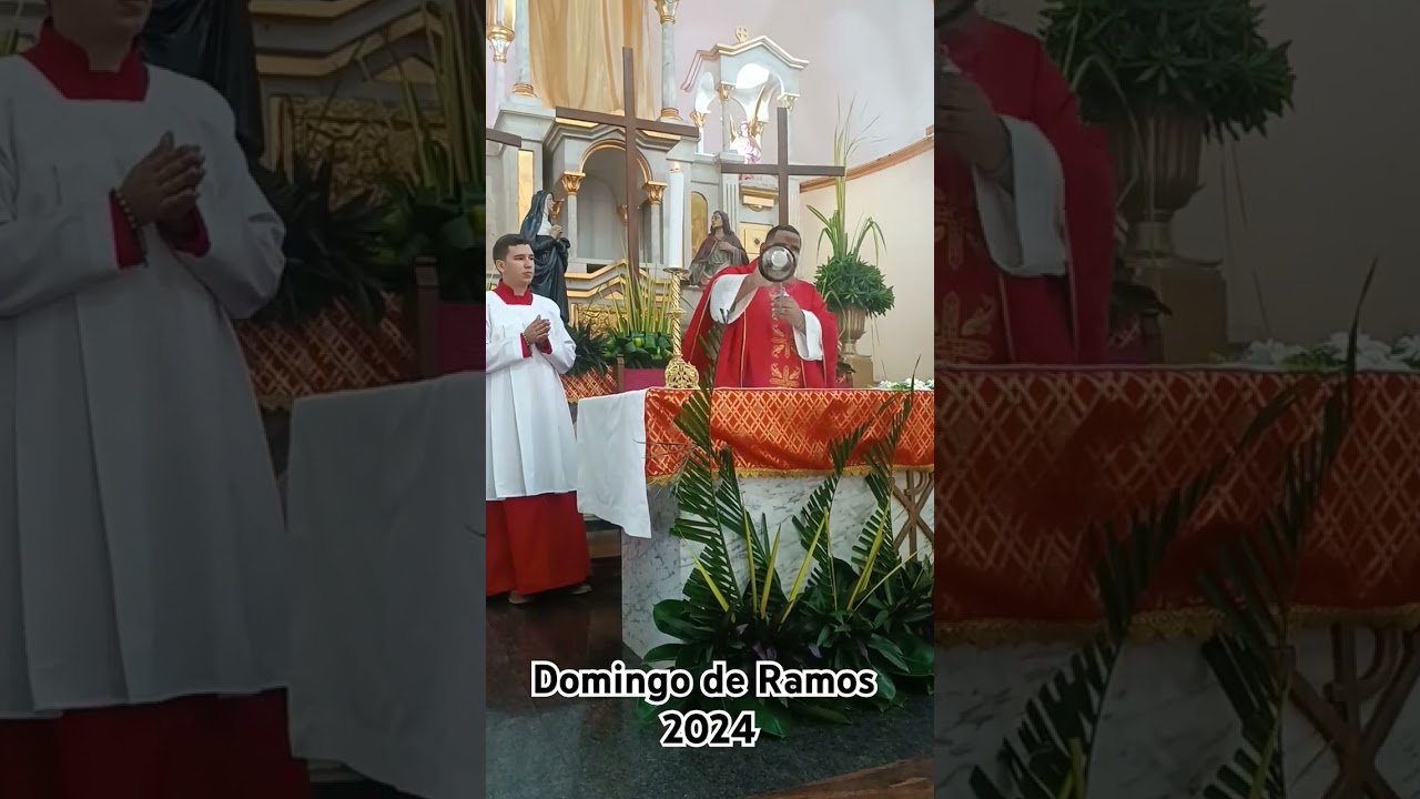 Domingo de Ramos 2024 - Pbro Félix José Figueroa Wettel - Cantaura, Anzoátegui, Venezuela