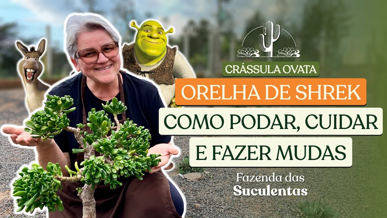 APRENDA TUDO SOBRE GOLLUM - ORELHA DE SHREK